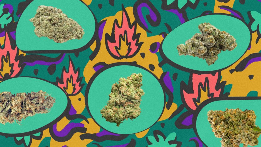 America’s hottest cannabis of 420 ’22 – Leafly