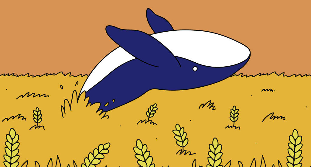 A Market Mystery: The ‘Wheat Whale’ That Came Out of Nowhere – The New York Times