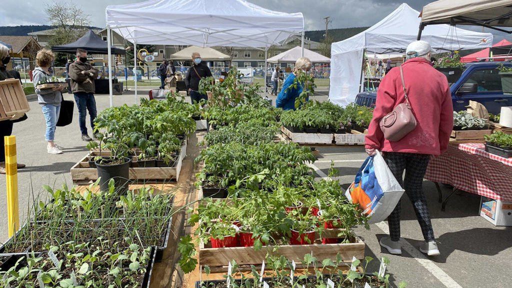 Seedy Saturday and Earlybird Farmers’ Market in Williams Lake set for April 30