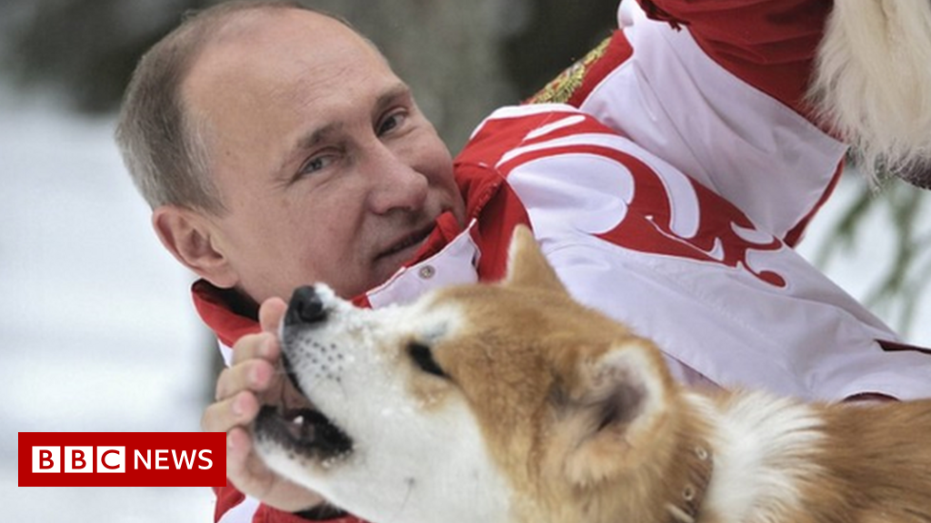Putin’s mysterious Facebook ‘superfans’ on a mission – BBC News