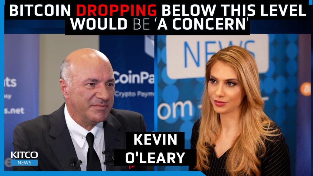 Kevin O’Leary: Bitcoin price is ‘never going to zero,’ here’s why | Kitco News