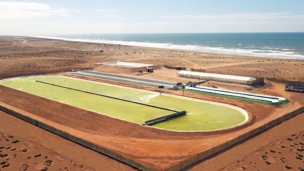 This startup fights climate change by growing algae in the desert – Fast Company
