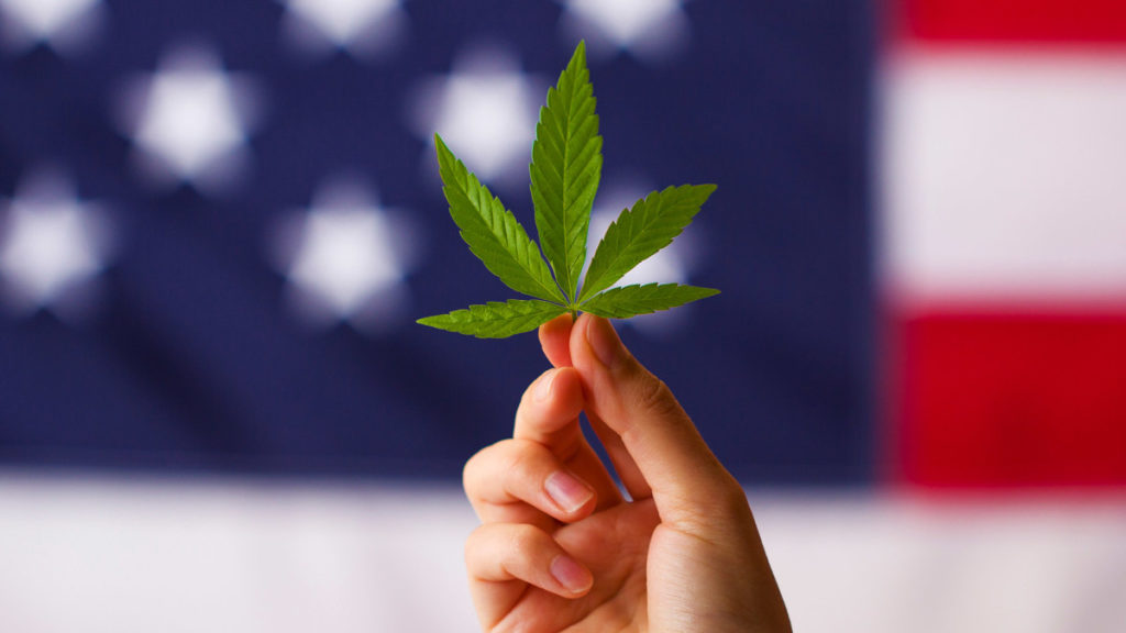 Cannabis News Week 4/13: The Will of the People; Economic Impact – TheStreet