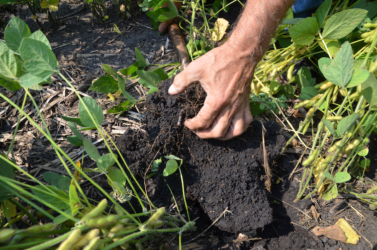 CarbonNOW Program to Expand by an Additional 1 Million Acres – No-Till Farmer