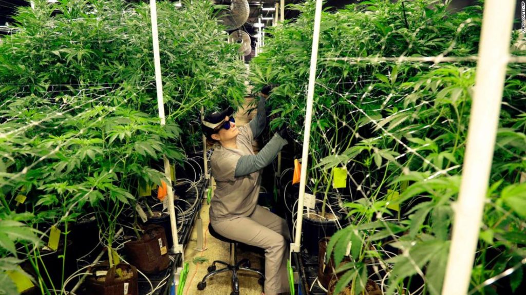 New Jersey to begin recreational cannabis sales April 21 – CNN