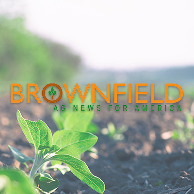 Third major acreage expansion in past 50 years underway – Brownfield Ag News