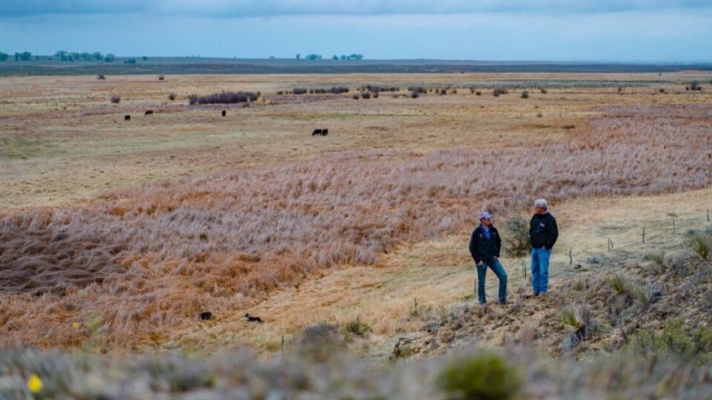 Struggling ranchers protect threatened grasslands by offering carbon credits (and get paid to do it)
