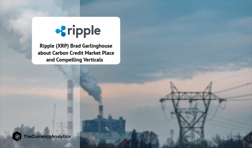 Ripple (XRP) Brad Garlinghouse about Carbon Credit Market Place and Compelling Verticals