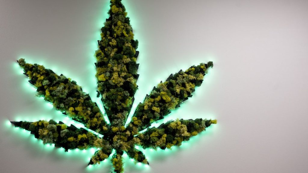 Michigan blocks sale of marijuana products worth millions without explanation – mlive.com
