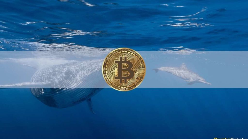 Whales Bought the Dip as Bitcoin Reclaims $40K: Analyst – CryptoPotato
