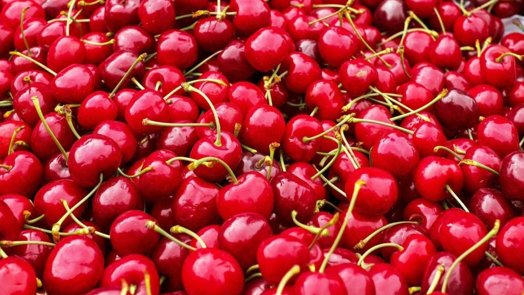 Cherry farmers worried by unseasonably cold temperatures in British Columbia