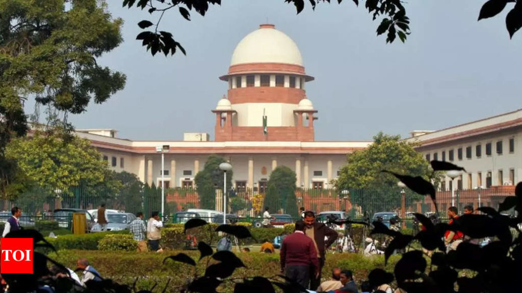 Trend of cryptic bail orders by high courts makes Supreme Court see red | India News – Times of India