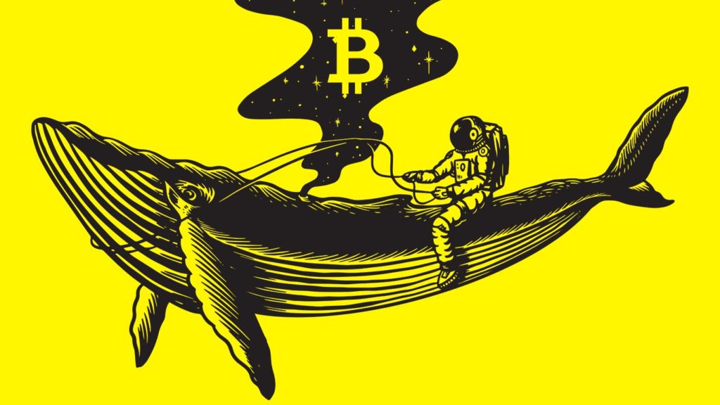 Bitcoin Whale Abruptly Moves Over $600000000 in BTC – The Daily Hodl