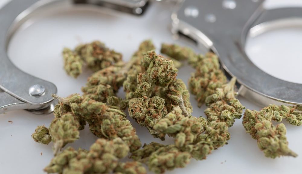 South Carolina Lawmaker Files ‘420 Day’ Bill To Require Annual Marijuana Pardons On …