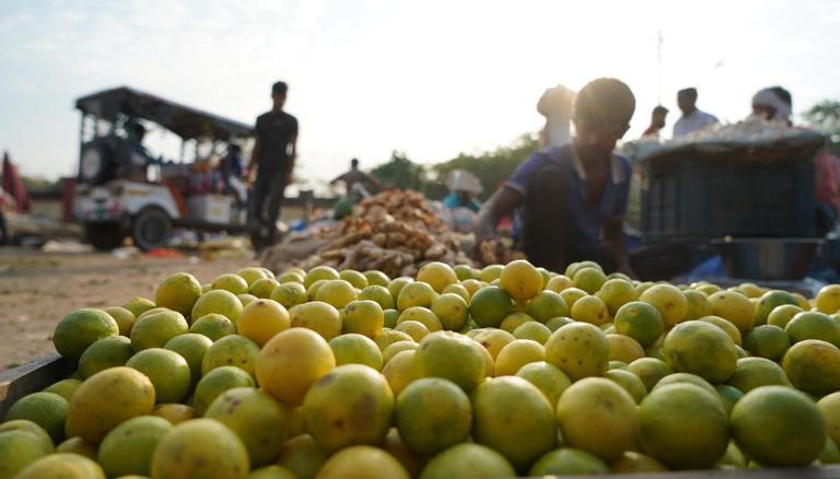 Rajasthan: Man arrested for stealing lemons in Jaipur mandi; details here – Republic World