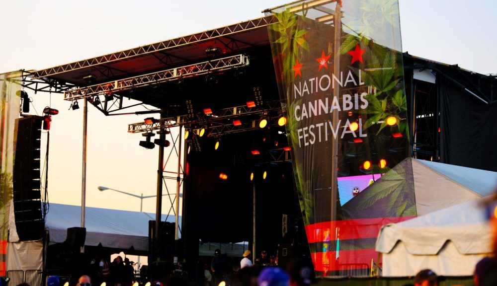 Inside the District’s National Cannabis Festival – The GW Hatchet