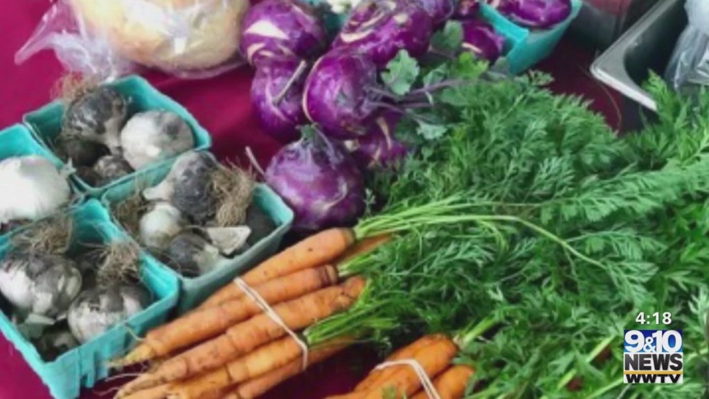 Traverse City Farmer’s Market Opens for Season – 9 & 10 News