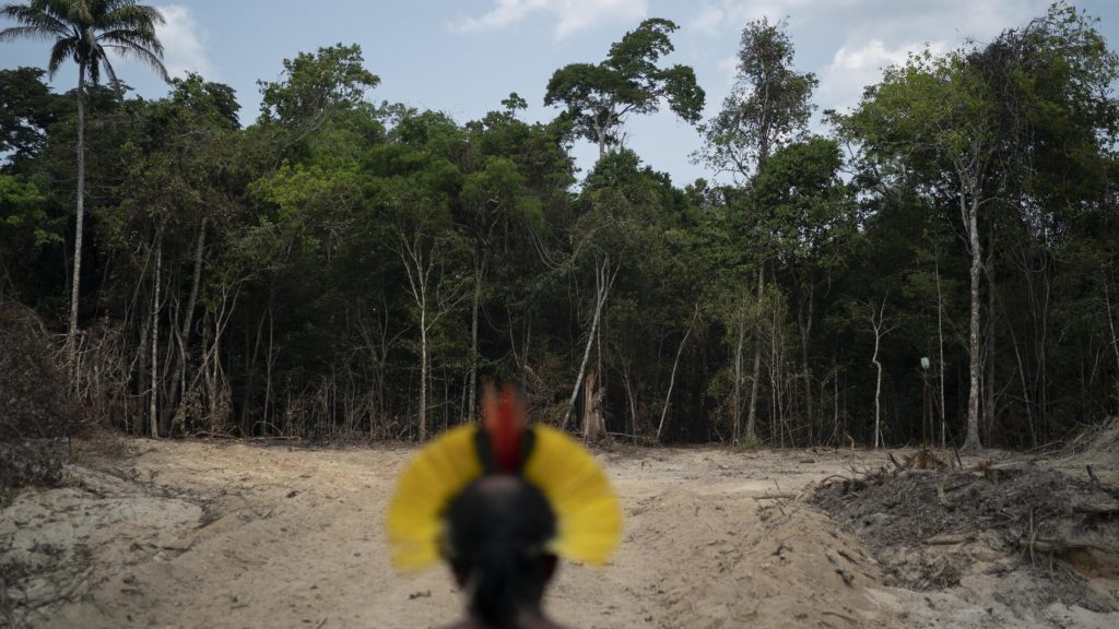 Brazil’s Amazon deforestation hits record for month of April | AP News