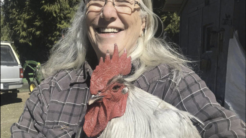 Deadly avian flu wipes out West Kootenay poultry flock – Castlegar News